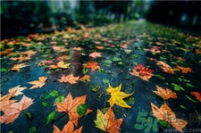 一場秋雨一場寒的意思?一場秋雨一場寒從什么時(shí)候開始?