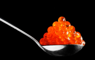  魚子醬好吃嗎？哪個(gè)牌子的魚子醬好？