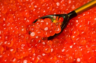  魚子醬好吃嗎？哪個(gè)牌子的魚子醬好？