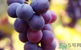 魷魚可以和葡萄一起吃嗎?魷魚能和葡萄同吃嗎? 魷魚可以和葡萄一起吃嗎?魷魚能和葡萄同吃嗎?