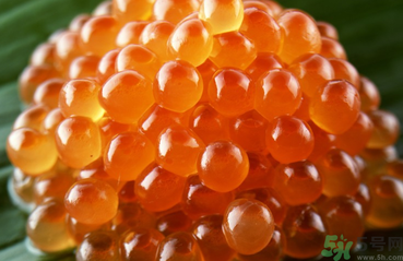 魚籽怎么清洗？魚籽怎么保存？