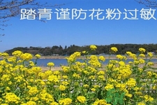 花粉過敏的表現是什么？如何有效的預防花粉過敏？