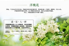 洋槐蜜是什么？洋槐蜜的作用與功效有哪些？