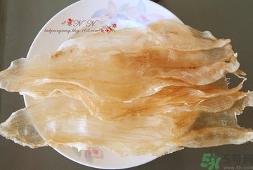 魚膠是什么？魚膠的功效與作用？