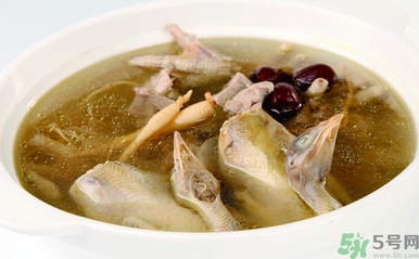 孕婦可以吃魚膠嗎？魚膠怎么燉適合孕婦吃？