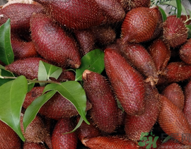 孕婦可以吃蛇皮果嗎？孕婦吃蛇皮果有什么好處？