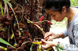 孕婦可以吃蛇皮果嗎？孕婦吃蛇皮果有什么好處？