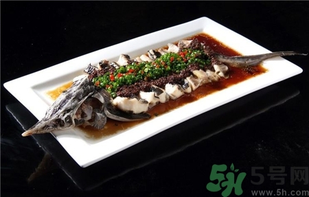 中華鱘的營(yíng)養(yǎng)價(jià)值 中華鱘的功效與作用 中華鱘的營(yíng)養(yǎng)價(jià)值 中華鱘的功效與作用