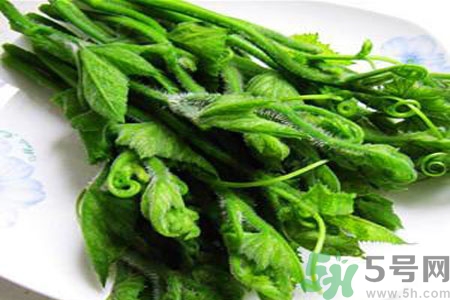 南瓜藤的功效作用有哪些？南瓜藤的食用價(jià)值是什么？