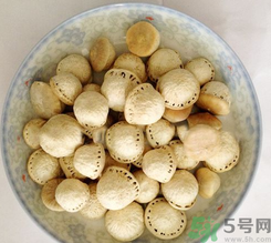 壯陽果怎么食用？壯陽果的功效與作用