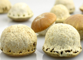 壯陽果怎么泡酒？ 壯陽果泡酒的功效與作用