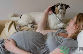 孕婦可以養(yǎng)狗嗎？養(yǎng)狗對(duì)孕婦有影響嗎？