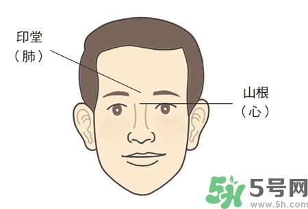 耳垂上有豎紋是怎么回事？山根有橫紋是什么??？