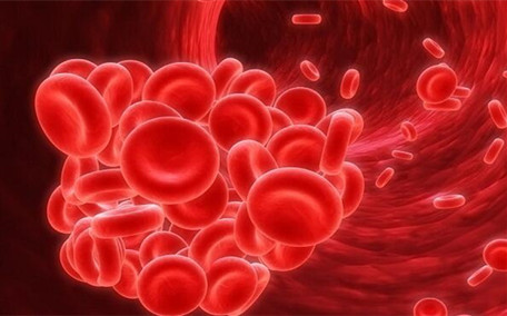 孩子貧血會(huì)不會(huì)得白血病 孩子貧血會(huì)怎么樣