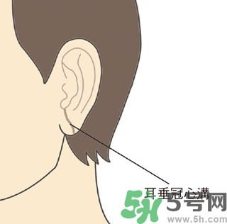 耳垂上有豎紋是怎么回事？山根有橫紋是什么?。?></p><h3>面色</h3><h5>我們東方人正常的臉色是黃紅隱隱，有光澤滋潤(rùn)感，但會(huì)隨著季節(jié)，顏色稍微有些變化，例如夏天天氣炎熱，臉色稍微偏紅，冬天天氣寒冷，臉色稍微偏白，都是正常的。但是若有以下情況可就要小心了！</h5><h4>1. 面色長(zhǎng)期不變，不隨季節(jié)改變。</h4><p>● 面色暗紅，底層多細(xì)細(xì)的暗色小血絡(luò)。</p><p>● 面色灰黑暗沉，沒有光澤，甚至浮腫。</p><p>● 面色蒼白沒有光澤。</p><h4>2.冬天時(shí)兩側(cè)顴骨偏紅，甚至有熱感。</h4><p>許多風(fēng)濕性心臟病患者，當(dāng)他的二尖瓣出現(xiàn)病變時(shí)，面色會(huì)變?yōu)榘导t。中醫(yī)認(rèn)為面部代表心臟，面部不正常的暗紅色或暗沉，尤其暗紅色出現(xiàn)在屬於小腸經(jīng)的顴骨部位，除了氣血阻滯之外，還表示心臟跳動(dòng)過度，就像引擎過熱一樣，長(zhǎng)此以往，很容易胸部悶痛、呼吸短促，嚴(yán)重者還會(huì)出現(xiàn)心臟衰竭。</p><p>面色蒼白者，多屬於氣血不足的虛證，體力差，容易心悸胸悶。</p>		</div>
<div align=