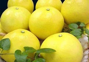 文旦柚是什么?文旦柚好吃嗎