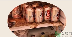 可樂(lè)可以放冰箱冷凍嗎?可樂(lè)放冰箱冷凍會(huì)炸嗎?