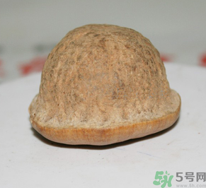 壯陽果多少錢一斤？壯陽果真的有效果嗎？