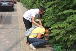 橘子能解暈車(chē)嗎?暈車(chē)吃橘子有用嗎