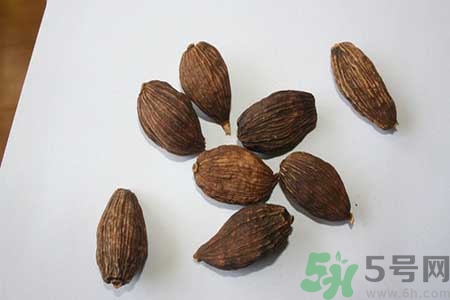 草果是什么？草果的功效與作用