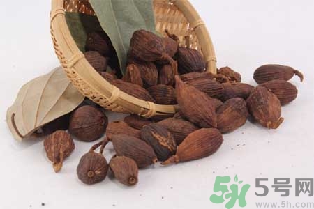 草果是什么？草果的功效與作用