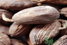 草果是什么？草果的功效與作用