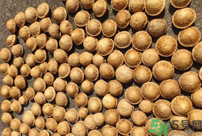 壯陽(yáng)果怎么吃？壯陽(yáng)果怎么吃效果最好？