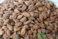 草果是什么？草果的功效與作用