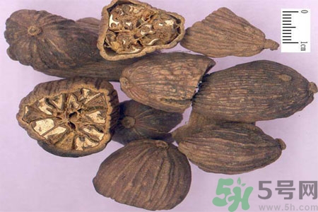 草果是什么？草果的功效與作用