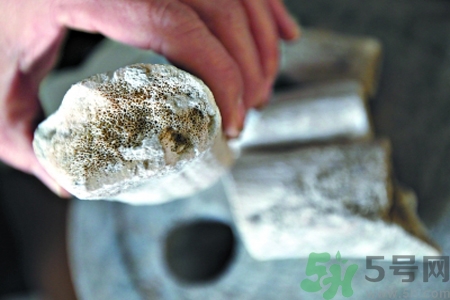 鹿角霜的藥用價值是什么？鹿角霜的功效和作用