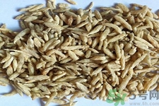 麥冬的營(yíng)養(yǎng)價(jià)值有哪些？麥冬的功效與作用是什么？