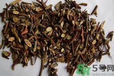 皂角刺的藥用價值是什么？皂角刺的功效與作用有哪些？