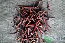 皂角刺的藥用價值是什么？皂角刺的功效與作用有哪些？