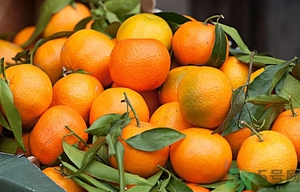 橘子白色的絲吃了好不好？橘子白色的絲能吃嗎？