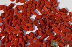 枸杞發(fā)黑能吃嗎？枸杞發(fā)黑是怎么回事？