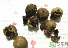 三只松鼠多少錢一袋？三只松鼠價格