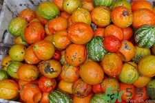 瓜蔞的功效作用 瓜蔞的藥用價值