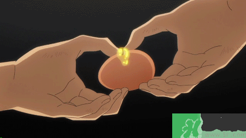 烏龜?shù)爸蟛皇煸趺崔k？烏龜?shù)爸蠖嗑媚艹?