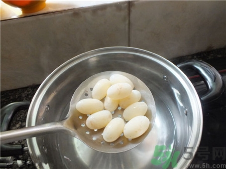 烏龜?shù)爸蟛皇煸趺崔k？烏龜?shù)爸蠖嗑媚艹?