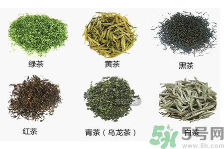 如何自制減肥茶？自制減肥茶需要哪些材料？