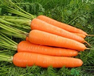 感冒可以吃月餅嗎？感冒期間的飲食禁忌