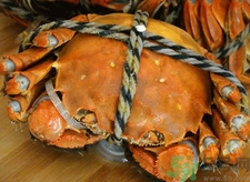 煮熟的螃蟹隔夜能吃嗎?煮熟的螃蟹冷凍后能吃嗎? 煮熟的螃蟹隔夜能吃嗎?煮熟的螃蟹冷凍后能吃嗎?