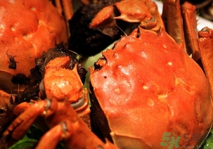 煮熟的螃蟹隔夜能吃嗎?煮熟的螃蟹冷凍后能吃嗎? 煮熟的螃蟹隔夜能吃嗎?煮熟的螃蟹冷凍后能吃嗎?