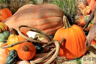 秋燥吃什么好？秋燥怎么辦？