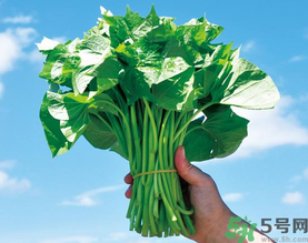 孕婦可以吃地瓜葉嗎？孕婦吃地瓜葉的好處