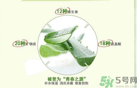 the saem得鮮和自然樂園哪個好？得鮮的蘆薈膠和自然樂園哪個好？