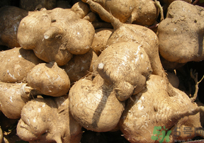 地瓜可以和蝦一起吃嗎？地瓜和什么不能一起吃？