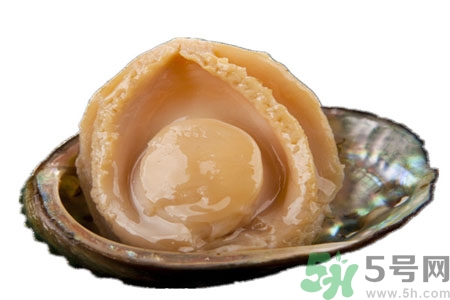 鮑魚如何挑選？鮑魚怎么保存？