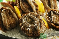 鮑魚如何挑選？鮑魚怎么保存？