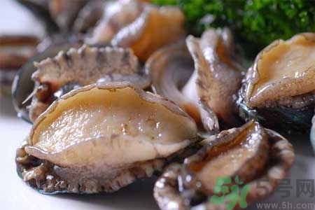 鮑魚的營(yíng)養(yǎng)價(jià)值有哪些？鮑魚的藥用價(jià)值是什么？